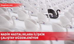 "Nadir Hastalıklara İlişkin Politikalar- Tohum Çalıştayı” düzenleniyor