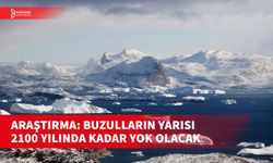 SCİENCE DERGİSİNDE YAYIMLANAN ARAŞTIRMA SONUÇLARI PAYLAŞILDI