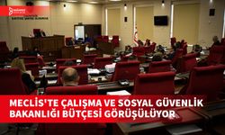 ÇALIŞMA VE SOSYAL GÜVENLİK BAKANLIĞI BÜTÇESİ İÇİN 1 MİLYAR 388 MİLYON 110 BİN TL ÖNGÖRÜLÜYOR