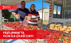 BİR KOVA ÇİLEK 100 TL