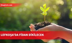 Lefkoşa Gençlik Ormanı’na yarın fidan dikilecek