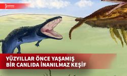 215 MİLYON YIL ÖNCE YAŞAMIŞ BİR CANLIDA KEMİK KANSERİ İZİ BULUNDU