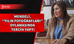 MERSİN BAŞKONSOLOSU ZALİHE MENDELİ, "YILIN FOTOĞRAFLARI" OYLAMASINA KATILDI