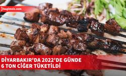 Diyarbakır’da 2022’de 2 Bin Ton Ciğer Tüketildi