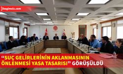 Eczacılar Birliği Yasa Tasarısı ve Rekabet Yasa Tasarısı Ele Alındı