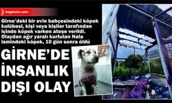 Girne’deki bir evin bahçesindeki köpek kulübesi, kişi veya kişiler tarafından içinde köpek varken ateşe verildi