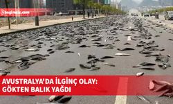 Avustralya'nın Lajamanu kasabasında gökten balık yağdı