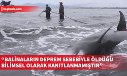 Akdeniz'de gagalı balinaların deprem nedeniyle ölmediği değerlendiriliyor