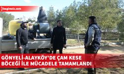 Gönyeli-Alayköy’de çam kese böceği ile mücadele tamamlandı