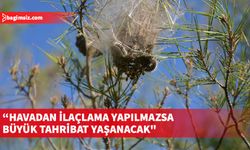 Biyologlar Derneği: Çam kese böceğine karşı havadan ilaçlama yapılmazsa geri dönüşü olmayan tahribat yaşanacak