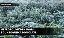 Üç gün boyunca don olayı yaşanacak