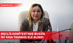 Meclis Hukuk, Siyasi İşler ve Dışilişkiler Komitesi toplantı gerçekleştirdi