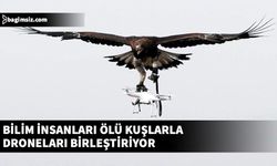 Araştırmacılar, kuşların genel görünümünü ve hareketlerini modellemek için tahnit edilmiş kuş parçalarını ve drone mekanizmalarını birleştirdi