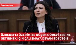 Cumhuriyet Meclisi Genel Kurulu, Fazilet Özdenefe'nin konuşmasının ardından sona erdi