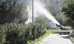 Girne Belediyesi, halk ve hayvan sağlığını korumak için çam kese böceğiyle mücadele ediyor