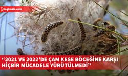 CTP Genel Başkanı Erhürman, çam kese böceği sorununa değindi
