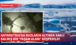 Bilim insanları Ross Buz Rafı’nın kenarından yüzlerce kilometre uzakta, bir haliçte buzun 500 metre altında bir yaşam alanı tespit etti