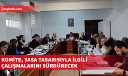 Meclis Sağlık Komitesi Yataklı Tedavi Kurumları Dairesi Yasa Tasarısı’nı görüştü