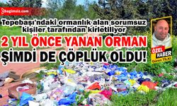 Tepebaşı’ndaki ormanlık alan sorumsuz kişiler tarafından kirletiliyor