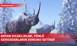 Yünlü gergedanların soylarının 14.000 yıl önce iklim değişikliği nedeniyle tükendiği ortaya çıktı