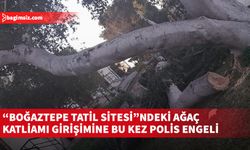 Sitede, geriye kalan son ağaç gövdesi de katledilmek istendi