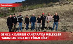 Kantara'da yanan bölgeye fidan dikildi