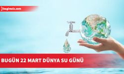 Yeşil Barış Hareketi: Yetkili makamlar tasarruf kaygısı taşımıyor