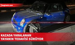 Yayanın tedavisi hastanede devam ediyor