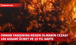 Orman yangınına neden olmanın cezası 100 asgari ücret ve 15 yıl hapis cezası…