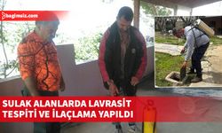 TSHD, dere temizliklerinin ardından sulak alanlarda lavrasit tespiti ve ilaçlama yaptı