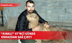 Enkazın altında bir mucize daha gerçekleşti