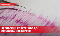 İskenderun Körfezi'nde 4,5 büyüklüğünde deprem meydana geldi