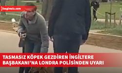 Londra polisi, İngiltere Başbakanı Sunak'ı tasmasız köpek gezdirdiği için uyardı