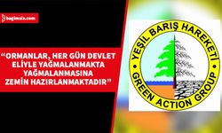 Yeşil Barış Hareketi, ormanlık arazilerin birilerine verilmek üzere Bakanlar Kurulu tarafından kararlar alındığını iddia etti