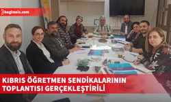 Öğretmenlere yönelik iki toplumlu sergi ve etkinlik gerçekleştirilmesi yönünde çalışma başlatılarak iki toplumlu sergi komitesi oluşturulacak