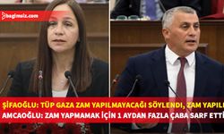 "Alınan kararlara uyulmasına Meclis'ten başlanmalı"