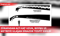 Dinazorlar düşünülenden 20 milyon yıl önce ortaya çıktıkları ileri sürülüyor