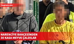 Güzelyurt’taki bir bahçeden 30 kasa narenciye ürünü çalmakla suçlanan H.T. ile R.T. tutuklandı