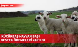 Toplam 83 milyon 314 bin 270 TL’lik ödeme yapıldı