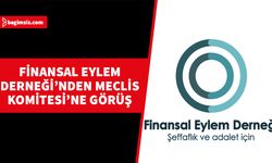 Finansal Eylem Derneği “Suç Gelirlerinin Aklanmasının Önlenmesi Yasa Tasarısı” hakkında görüşlerini Meclis komitesine iletti