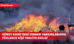 Yangında en az 44 ev zarar gördü, 300'den fazla kişi bölgeden uzaklaştırıldı