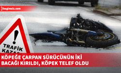 Motosiklet sürücüsü köpeğe çarptı