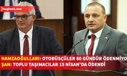 "Taşımacılık sektörü için ilgili bakanlıktan en son 10 gün önce ödeme emri geldi"