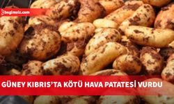 Güney Kıbrıs’ta meydana gelen don olayının, patates ürününe zarar verdiği haber verildi