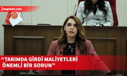 "Tarım Bakanlığının enerji ve akaryakıttaki sembolik desteği anlamsız kaldı"