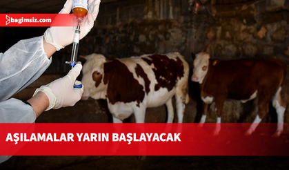 250 Bin doz şap aşısı bu akşam ülkede