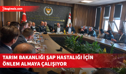 Tarım Bakanlığı'nda şok "Şap Salgını" mesaisi