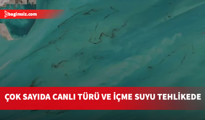 Basra Körfezi’nde alarm: Petrol sızıntıları tehlike yaratabilir