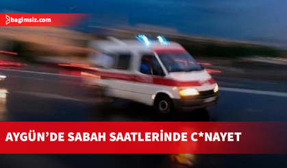 Aygün’de 61 yaşındaki kadın bıçaklanarak hayatını kaybetti