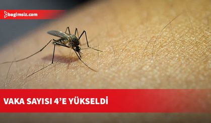 Batı Nil Virüsü vakalarında sayı 4’e yükseldi